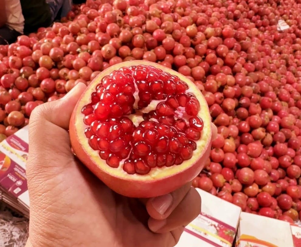 Pomegranate 