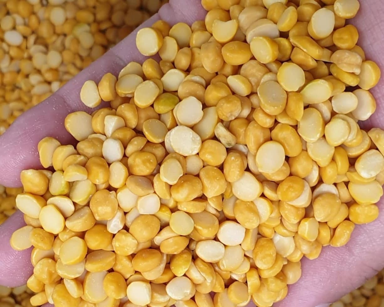 Chana Dal (Split Bengal Gram) 