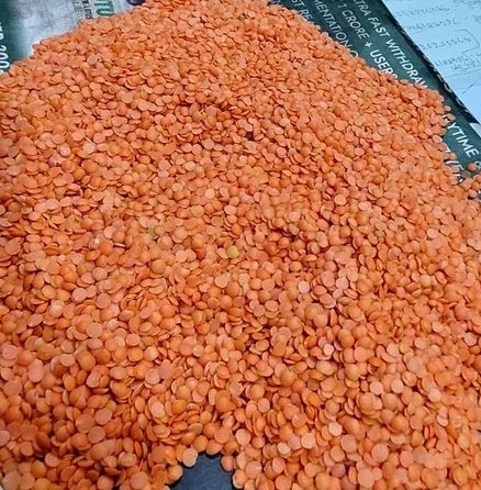 Red Lentils (Masoor Dal) 