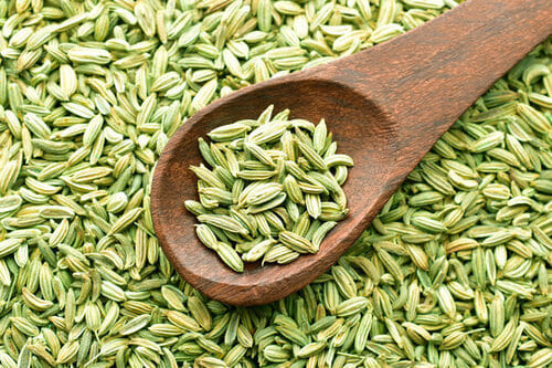 Fennel Seeds 