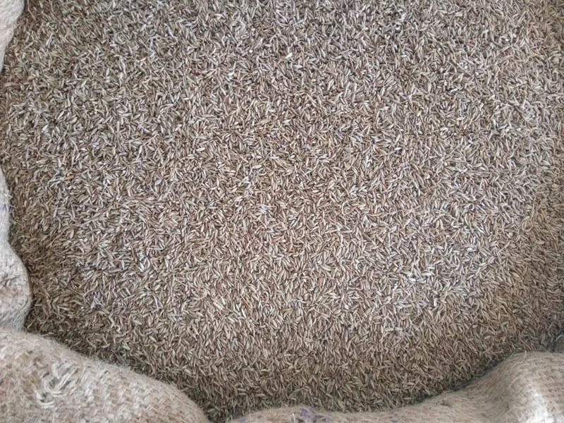 Cumin Seeds 