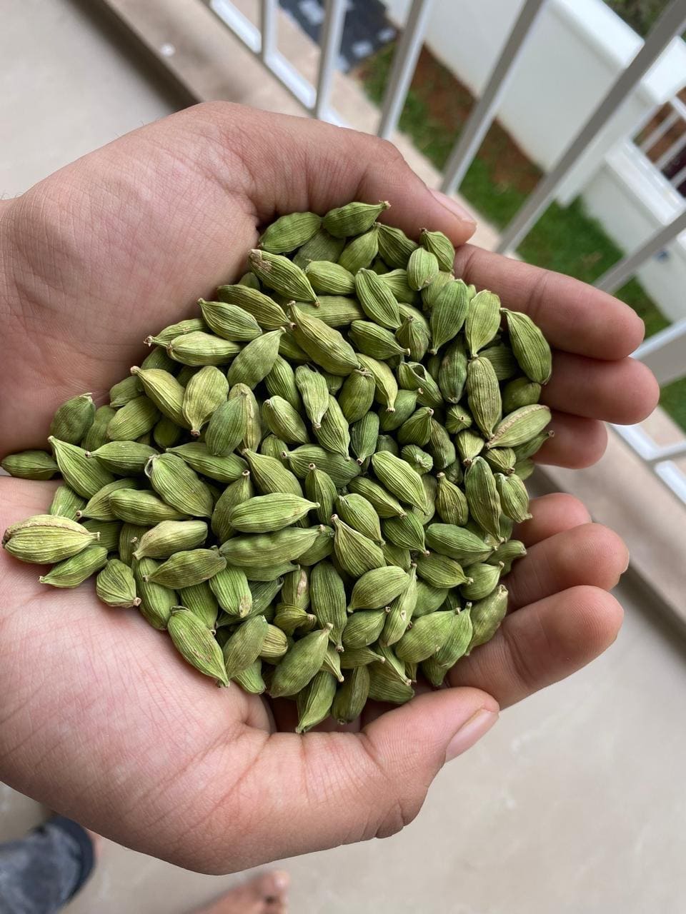  Green Cardamom 