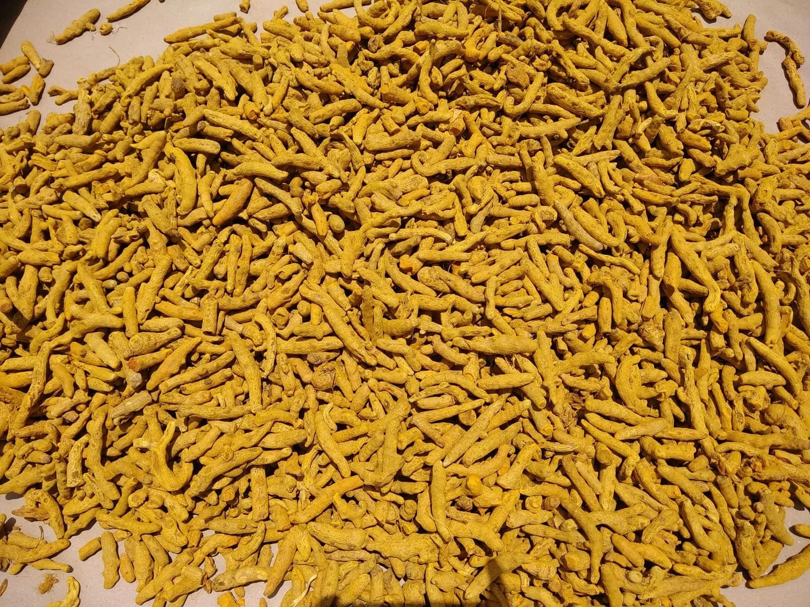 Turmeric 